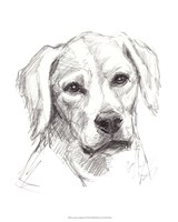 Constant Companion I Fine Art Print