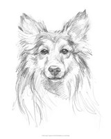 Constant Companion II Fine Art Print