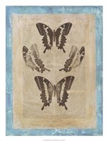 Bookplate Butterflies I Framed Print