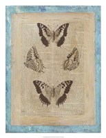 Bookplate Butterflies II Fine Art Print