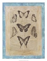 Bookplate Butterflies III Fine Art Print