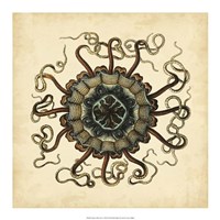 Gems of the Sea I Fine Art Print