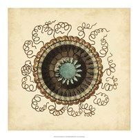 Gems of the Sea IV Fine Art Print