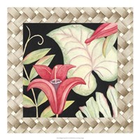 Midnight Garden III Fine Art Print