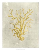 Coral in Mustard Fine Art Print