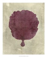 Coral in Plum Fine Art Print