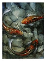 Tres Koi II Fine Art Print
