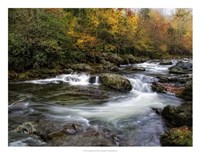 Autumn Dream Fine Art Print