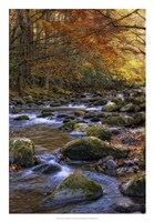 Autumn on Little River Fine Art Print