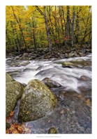 Roaring Waters I Framed Print