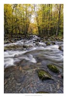 Roaring Waters II Fine Art Print