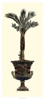 Elongated Potted Palm I Fine Art Print