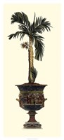 Elongated Potted Palm II Fine Art Print