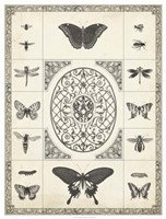 Nature's Memento I Fine Art Print