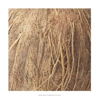 Organic Elements IV Fine Art Print