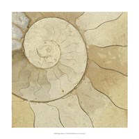 Organic Elements V Fine Art Print