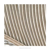 Organic Elements VIII Fine Art Print