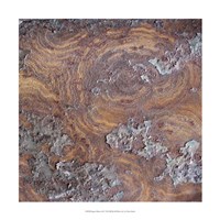 Organic Elements IX Fine Art Print