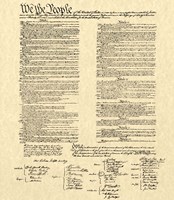 Constitution on Khaki Fine Art Print