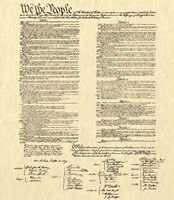 Constitution on Khaki Framed Print