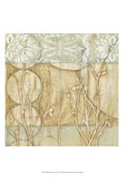 Small Willow and Lace II Fine Art Print