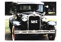 Joy Ride II Fine Art Print