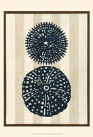 Sea Life Silhouette II Framed Print