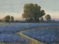 Blue Bonnet Field I Fine Art Print