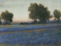 Blue Bonnet Field II Fine Art Print