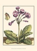 Garden Vignette I Fine Art Print