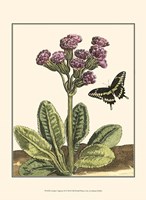 Garden Vignette II Fine Art Print