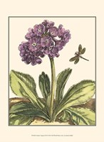 Garden Vignette III Fine Art Print