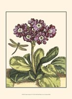 Garden Vignette IV Fine Art Print