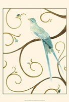 Avian Arabesque II Fine Art Print