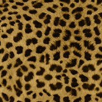 Animal Instinct I Fine Art Print