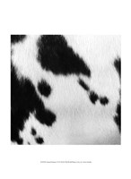 Animal Instinct VI Fine Art Print