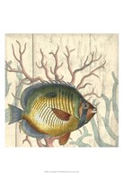 Coastal Montage I Fine Art Print