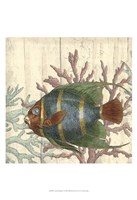 Coastal Montage IV Fine Art Print