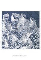 Coastal Menagerie III Fine Art Print