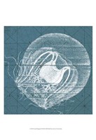 Coastal Menagerie IX Fine Art Print