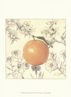 Orange and Botanicals Fine Art Print