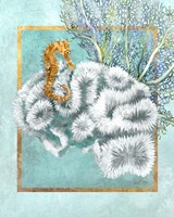 Coral and Seahorse Framed Print