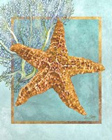 Starfish and Coral Fine Art Print