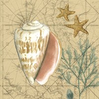 Coastal Map Collage II Fine Art Print