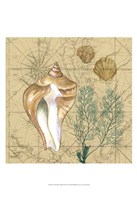 Coastal Map Collage III Fine Art Print