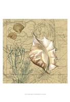 Coastal Map Collage IV Fine Art Print