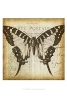 Carte Postale Butterfly I Framed Print