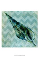 Chevron Shell V Fine Art Print