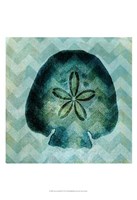 Chevron Shell VI Fine Art Print