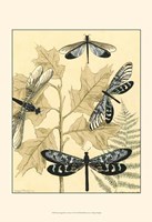 Spa Dragonflies in Nature I Fine Art Print